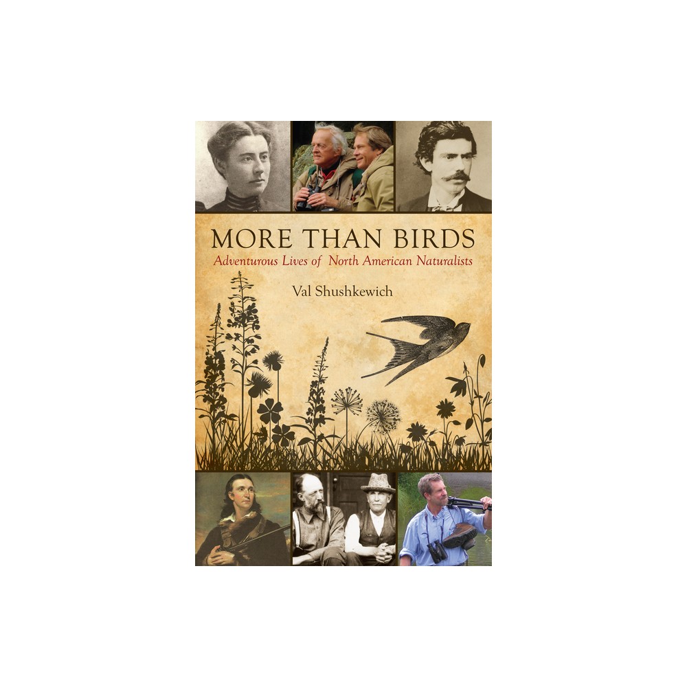 More Than Birds - by Val Shushkewich (Paperback)