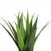 Northlight 17" Agave Succulent Artificial Potted Plant - Green/Gold - 4 of 4