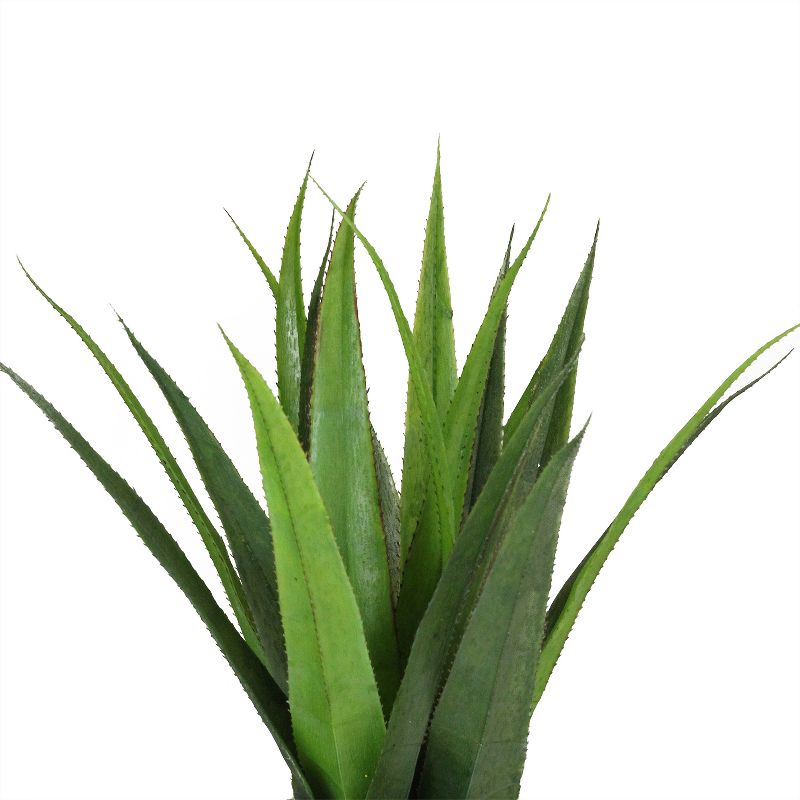 Northlight 17" Agave Succulent Artificial Potted Plant - Green/Gold, 4 of 5