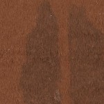 ivory/dark brown