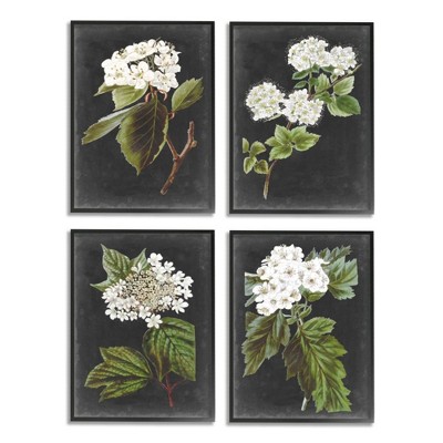 Stupell Industries Charming White Cottage Florals over Charcoal Grey