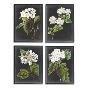 Stupell Industries Charming White Cottage Florals over Charcoal Grey - 1 of 3