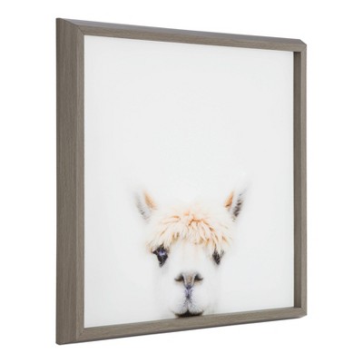 18" x 18" Blake Alpaca Bangs Framed Printed Glass by Amy Peterson Gray - Kate and Laurel