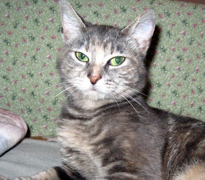 Guest review image 2 of 4, zoom in