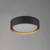 ET2 Lighting Echo 1 - Light Flush Mount in  Black/Gold - 4 of 4