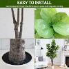 Artificial Fiddle Leaf Fig Tree Potted- 7Ft Faux Ficus Lyrata Trees Fake Fig Silk Tree in Pot, Outdoor Tall Artificial Plants Potted for Home Decor - 2 of 4
