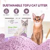 Allforpaws Natural Tofu Cat Litter, Green Purr Eco Cat Litter with Strong Odor Control, 4.5kg (2 X 2.25kg) - 2 of 4