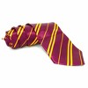 Skeleteen Maroon And Gold Tie - Wizard Costume Accessories Halloween Dress Up Ties - 1 Piece - 2 of 4