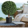 Whizmax 24 Inch Artificial Topiary Boxwood Ball Trees,Faux Plant with Black Pot for Indoor Walkway, Entryway Decor,2 Pcs - 3 of 4