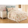 C&F Home 20" x 26" Whitney Floral Cotton Standard Sham - Machine Washable - image 2 of 4