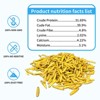 5LB Black Soldier Fly Larvae for Chickens 100% Natural Non-GMO High Protein Chicken Feed - 2 of 4