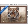 Trends International Reinders: Animals - Hunting Tiger In Grasses Framed Wall Poster Prints - 3 of 4