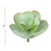 Floral Home 9" Paddle Plant Lifelike Succulent - 12-Piece - 2 of 2