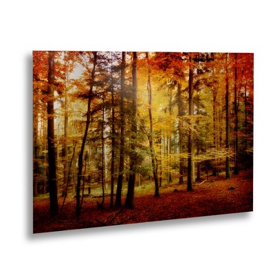 Trademark Fine Art -Philippe Sainte-Laudy 'Fall Color' Canvas Art