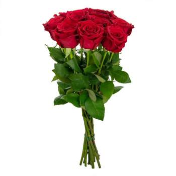 Fresh Cut Dozen Red Roses - Spritz™