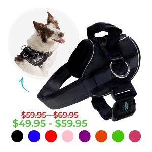 Joyride Harness Premium Advanced No Pull Dog Harness 2.0 - 1 of 4