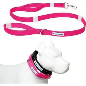 Shed Defender Mag-Snap Dog Leash - Wearable Magnetic Leash - 5 ft. - 1 of 4