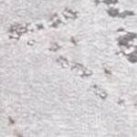 grey/taupe
