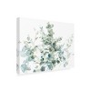Danhui Nai 'Eucalyptus I Cool' Canvas Art - 4 of 4