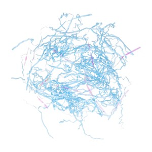 Iridescent Paper Shred Blue - Spritz™ - 1 of 2
