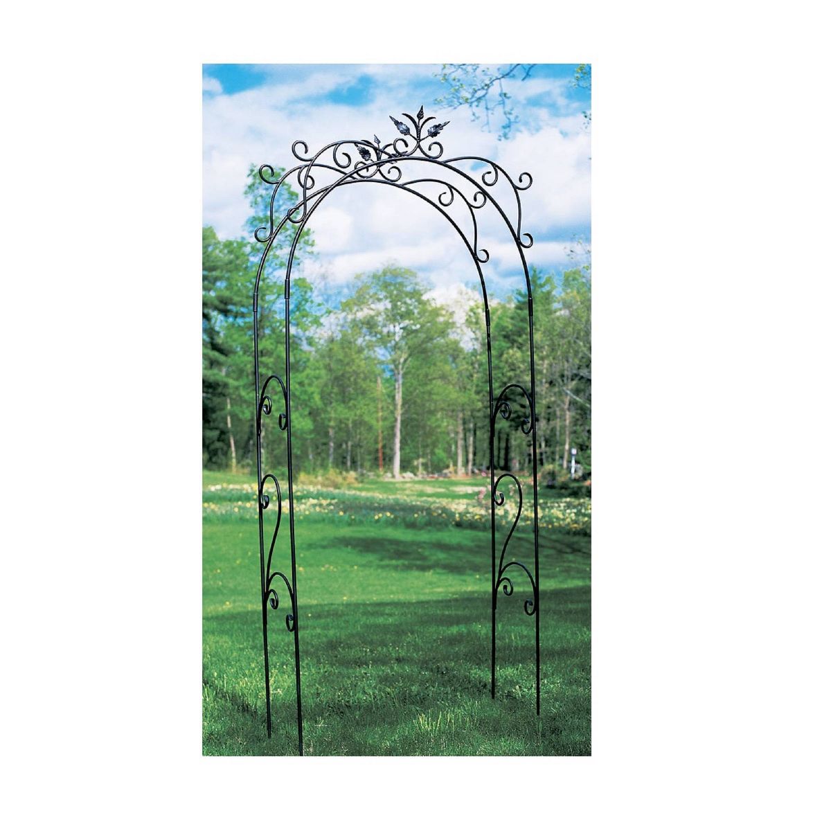 Achla Designs 113" Tuileries Iron Garden Arbor - thumbnail 5