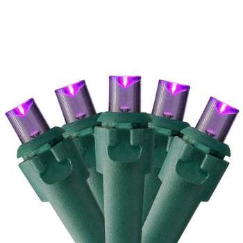 Northlight 50ct LED Wide Angle String Lights Purple - 16.25' Green Wire