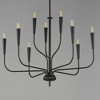 Maxim Lighting Vela 9 - Light Chandelier in  Black - 3 of 4