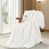 Heating Blanket, Thick Tufted Soft Electric Blanket with Heat and Timer Settings, Machine Washable Heating Blanket, Warm Blanket Gift, House Warming - 2 of 4