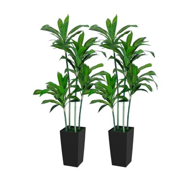 2-Pack 5FT Faux Dracaena Trees with Black Tall Planters, Faux Indoor Outdoor Plants