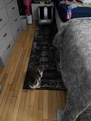 Guest review image 1 of 2, zoom in