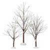 Department 56 Accessory 11.0 Inch First Frost Trees St/3 Village Winter Snow Village Accessories - 2 of 3