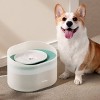 Petlibro 8L Capsule Water Filter Dog Automated Fountain - 3 of 4