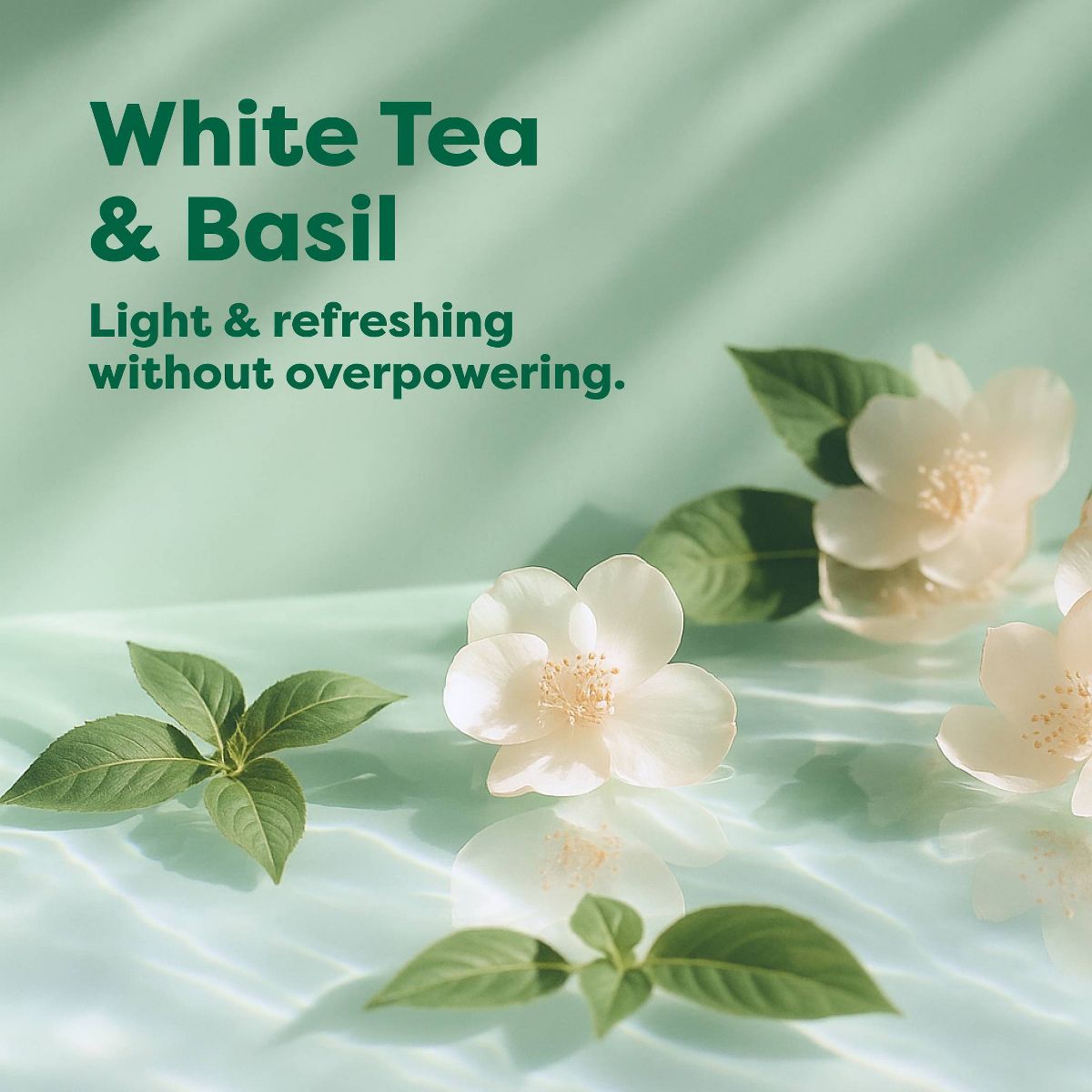 Earth Rated 4-in-1 Soothing Hypoallergenic Dog Shampoo and Conditioner - White Tea & Basil Scent - 16 fl oz - thumbnail 10