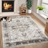 COZONY Washable Area Rug Runner Non Slip Low Pile Carpet Mat, Vintage Distressed Floor Mat for Living Room and Bedroom - 3 of 4