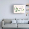 Ania Zwara  'Little Violets' Canvas Art - 3 of 4