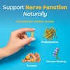 Nerve Shield by Redd Remedies  -  120 Vegan Capsule - 4 of 4