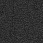 texas tech red raiders