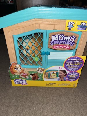 Guest review image 3 of 6, zoom in