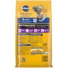 Pedigree with Tender Bites Chicken and Steak Flavor Dry Dog Food for Small Dogs - 2 of 4