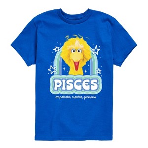 Boys' - Sesame Street - Pisces Big Bird Short Sleeve Graphic T-Shirt - 1 of 4