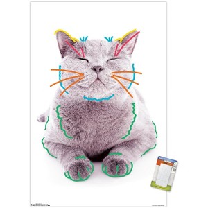 Trends International Cat - Funny Face Unframed Wall Poster Prints - 1 of 4