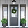 Outdoor Artificial Plant Boxwood, All-Year Green Round Hanging Topiary Ball,Sun Protection Faux Plant Decor Ball for Patio Garden Balcony Backyard - 4 of 4