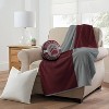 15'' NCAA Montana Grizzlies Cloud Pillow - 2 of 3