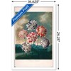 Trends International A Group Of Carnations Framed Wall Poster Prints - 3 of 4