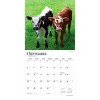 BrownTrout Baby Moo Moos 2026 12"x24" Hanging Square Wall Calendar Plastic-Free - 4 of 4