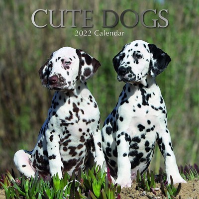 The Gifted Stationery 2021 - 2022 Cute Puppy Monthly Wall Calendar, 16 Month, Dog Animals Pet Theme with Reminder Stickers, 12 x 12 in