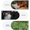 GustoWave Chicken Coop & Garden Fencing – Poultry Netting & Chicken Wire Fencing, 1/2'' - 36in x 50ft Galvanized Wire Mesh - 3 of 4