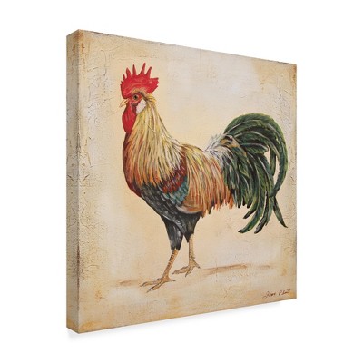 Trademark Fine Art -Jean Plout 'Rooster 3' Canvas Art