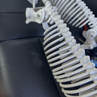 Guest review image 1 of 2, zoom in