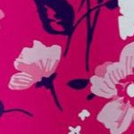 raspberry sorbet field floral